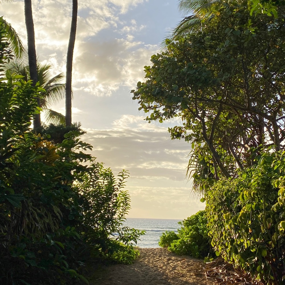 Meet your Posher, Natasha